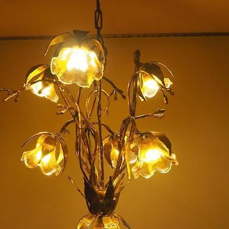 El Pongallin Ideal Familias V Vacacional 268